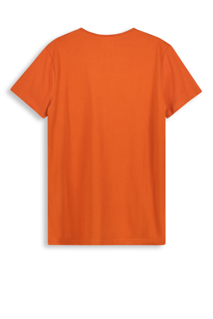 Basic V-Neck T-Shirt _ 142001 _ Butternut
