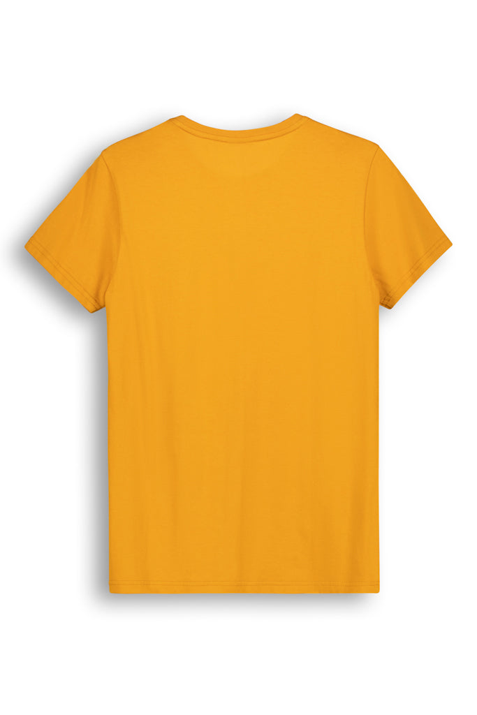 V-Neck T-Shirt _ 142004 _ Mustard