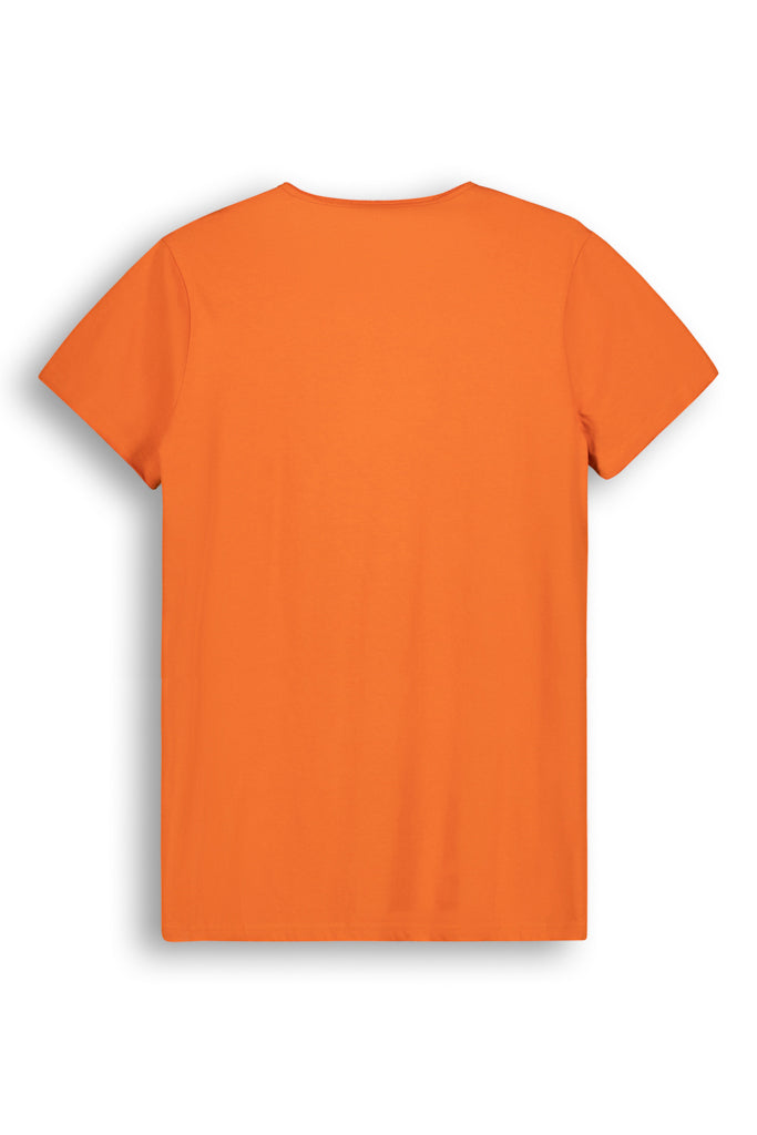 Basic T-Shirt _ 142023 _ Butternut