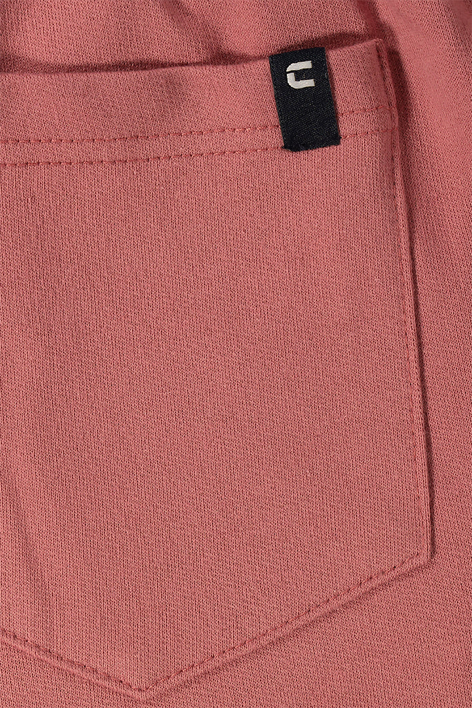 Jogger Shorts _ 142563 _ Dark Rose