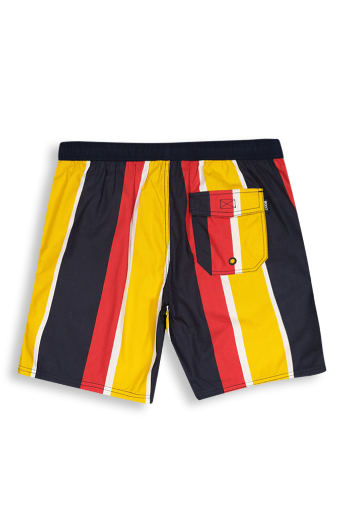 Multi Stripe Pool Shorts _ 142946 _ Multi Stripe