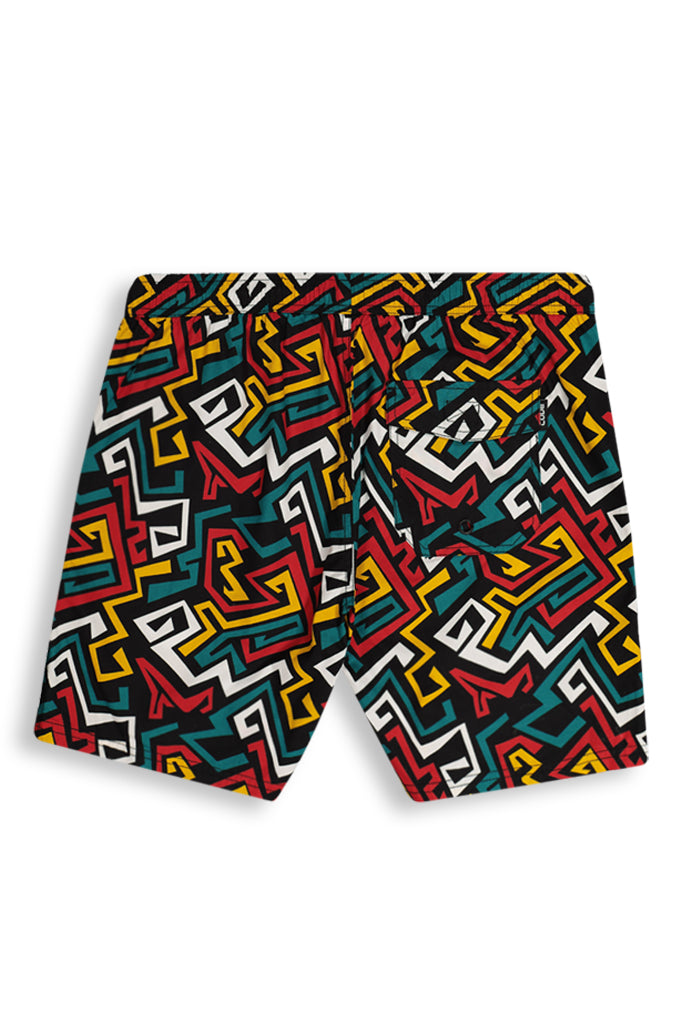 Printed Pool Shorts _ 142953 _ Multi