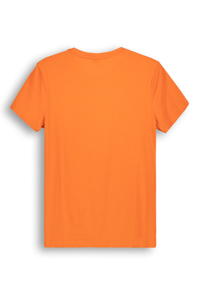 Graphic T-Shirt _ 143172 _ Butternut