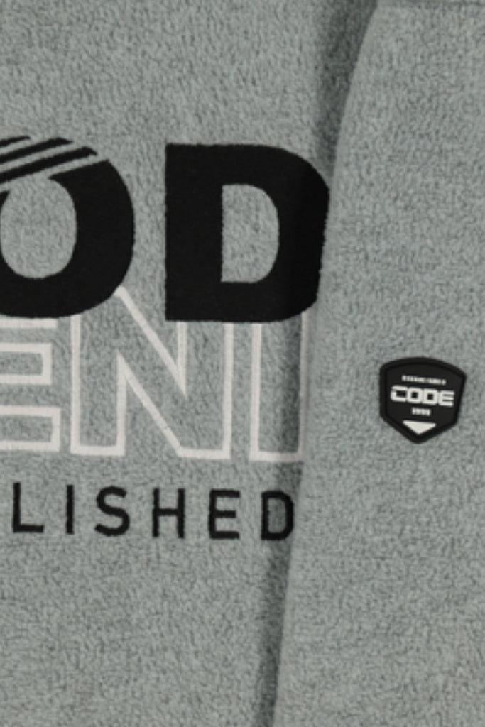 Graphic Fleece Hoodie _ 145535 _ Grey Melange